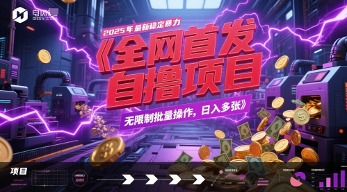 全网首发，2025年最新稳定暴力全自动自撸项目，无限制批量操作，日入多张【揭秘】-升阶有道