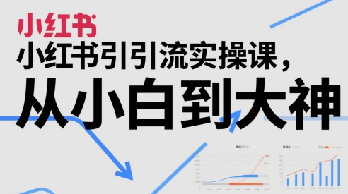 小红书引流实操课，从小白到大神-升阶有道