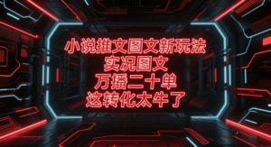 小说推文图文新玩法,实况图文,万播二十单,这转化太牛了!-升阶有道