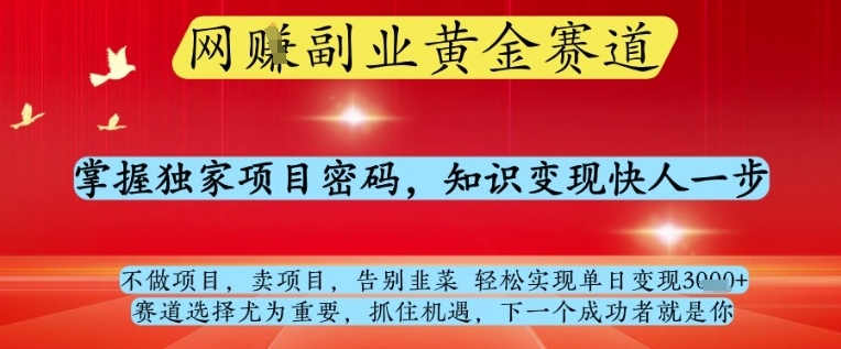网创副业黄全赛道，掌握独家项目密码，知识变现快人一步，告别韭菜轻松实现单日变现1k+【揭秘】-升阶有道
