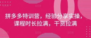 拼多多特训营,经验分享实操,课程时长拉满,干货拉满(更新25年4月)-升阶有道