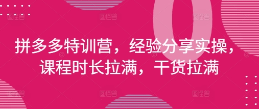 拼多多特训营，经验分享实操，课程时长拉满，干货拉满(更新25年4月)-升阶有道