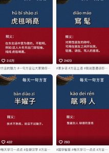 抖音最新涨粉玩法，图文方言暴力涨粉实操，126作品涨粉11W-升阶有道