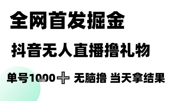 全网首发掘金抖音无人直播撸礼物，单号1k +无脑撸，当天拿结果【揭秘】-升阶有道