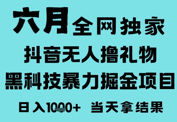 25年6月高爆抖音无人直播最新撸音浪掘金项目，门槛低小白可做，无脑日入1k，可矩阵放大【揭秘】-升阶有道