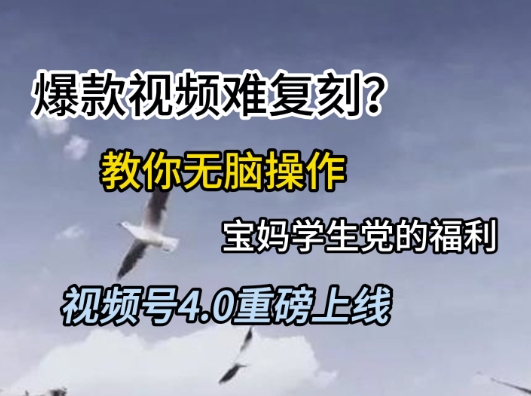 视频号4.0重磅上线，爆款视频难复刻？教你无脑操作宝妈学生党的福利【揭秘】-升阶有道