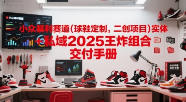 小众暴利赛道(球鞋定制，二创项目)实体+私域2025王炸组合  交付手册-升阶有道