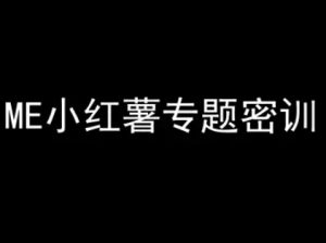 ME小红薯专题密训-小红书电商教程-升阶有道