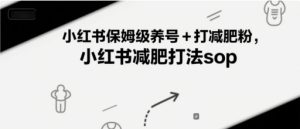 小红书保姆级养号+打减肥粉，小红书减肥打法sop-升阶有道