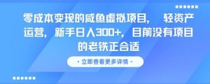 零成本变现的咸鱼虚拟项目, 轻资产运营,新手日入3张+,目前没有项目的老铁正合适-升阶有道
