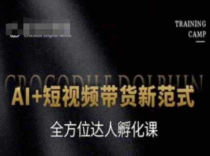 AI+短视频带货新范式，全方位达人孵化课-升阶有道