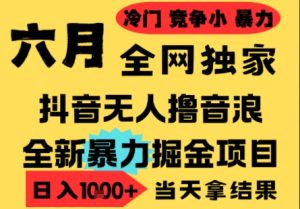 25年6月高爆抖音无人直播最新撸音浪掘金项目，小白可做，无脑日入1k+，门槛低可批量矩阵【揭秘】-升阶有道