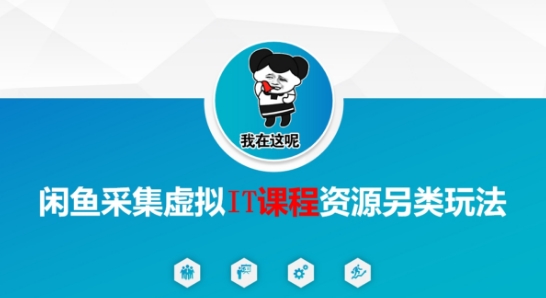 闲鱼采集虚拟IT课程资源另类玩法，干货满满-升阶有道