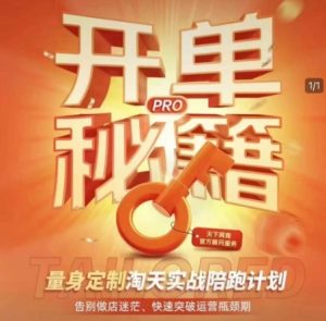 淘宝开单秘籍PRO,量身定制淘天实战陪跑计划,告别做店迷茫、快速突破运营瓶颈期(更新6月)-升阶有道