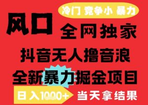 25年6月高爆抖音无人直播最新撸音浪掘金项目,解放双手小白可做,无脑日入1k+,门槛低【揭秘】-升阶有道