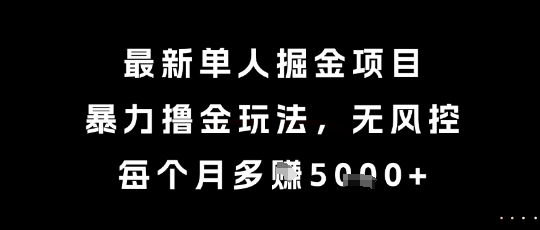 最新单人掘金项目，暴力撸金玩法，无风控，每个月多挣5k+【揭秘】-升阶有道
