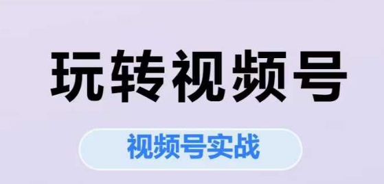 玩转视频号，视频号实战系列课-升阶有道