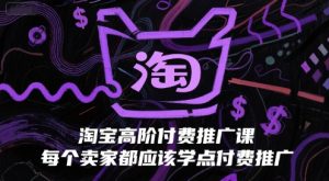 淘宝高阶付费推广课,每个卖家都应该学点付费推广-升阶有道