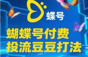 2025蝴蝶号付费投流豆豆打法，助新手快速掌握付费流量撬动自然流的核心玩法-升阶有道