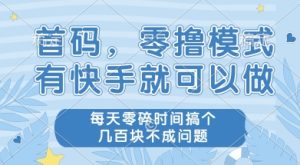 首码零撸项目，有快手就可以做，每天业务时间搞个几张不是问题【揭秘】-升阶有道