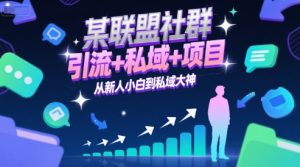 某联盟社群，引流+私域+项目，从新人小白到私域大神-升阶有道