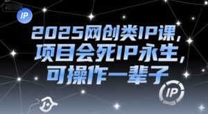 2025网创类IP课，项目会死IP永生，可操作一辈子-升阶有道