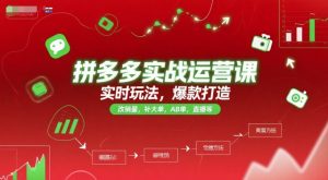 拼多多实战运营课,实时玩法,爆款打造,改销量,补大单,AB单,直播等(更新2025月)-升阶有道