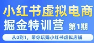小红书虚拟电商掘金特训营第1期,从0到1,带你玩转小红书虚拟店铺-升阶有道