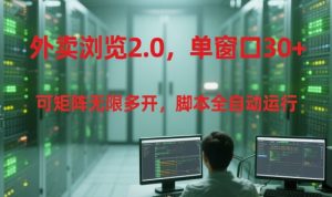 外卖浏览2.0，单窗口30+可矩阵无限多开，脚本全自动运行【揭秘】-升阶有道
