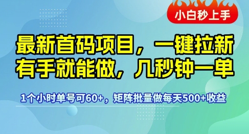 最新首码项目，一键拉新有手就能做，几秒钟一单，1个小时单号可60+，矩阵批量做每天5张【揭秘】-升阶有道