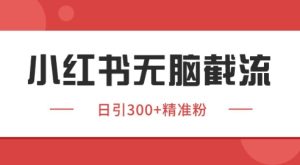 小红书截流同行客源,独家野路子获客玩法 日引200+暴力获客【揭秘】-升阶有道