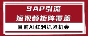 小红书某音sap赛道引流获客 自热矩阵日引200+【揭秘】-升阶有道