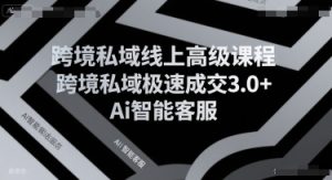 跨境私域线上高级课程,跨境私域极速成交3.0+Ai智能客服-升阶有道