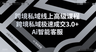 跨境私域线上高级课程，跨境私域极速成交3.0+Ai智能客服-升阶有道