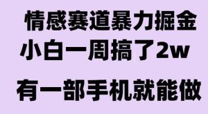 情感暴力掘金项目,新人操作一周挣了2W,长期稳定小白可做【揭秘】-升阶有道
