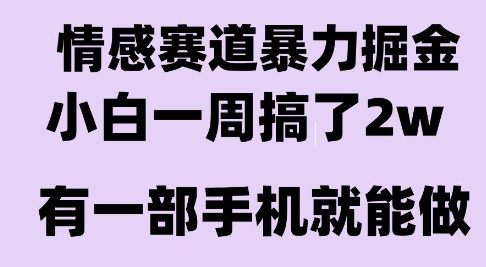 情感暴力掘金项目，新人操作一周挣了2W，长期稳定小白可做【揭秘】-升阶有道
