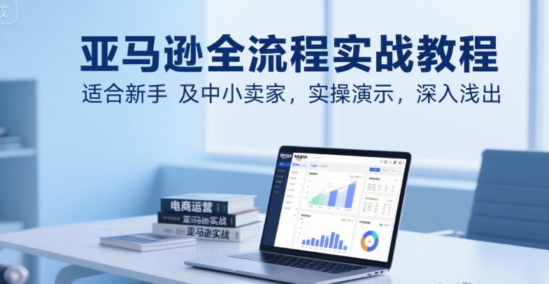 亚马逊全流程实战教程，适合新手及中小卖家，实操演示，深入浅出-升阶有道
