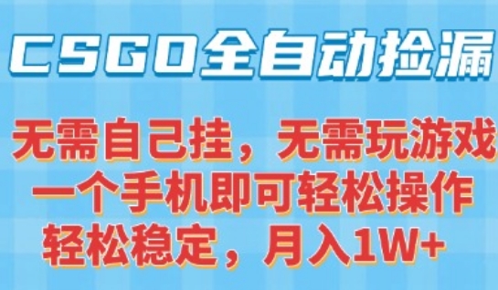 CSGO自动捡漏项目，最新独家玩法，一个手机可操作，新手小白轻松月入1W+，操作简单易上手【揭秘】-升阶有道
