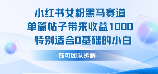 小红书女粉黑马赛道单篇帖子带来收益1k+，特别适合0基础的小白-升阶有道