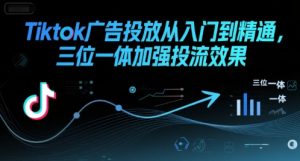 Tiktok广告投放从入门到精通,三位一体加强投流效果-升阶有道