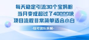 每天稳定引流30个人 当月变成超过了4个W项目流程非常简单适合小白-升阶有道