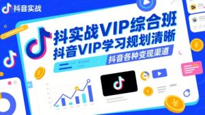 抖音实战VIP综合班,抖音VIP学习规划请晰抖音各种变现渠道-升阶有道