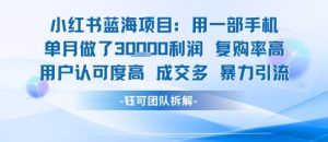 小红书蓝海项目，一部手机单月做了3W利润，小白也能月入过1W用户认可度高成交多-升阶有道