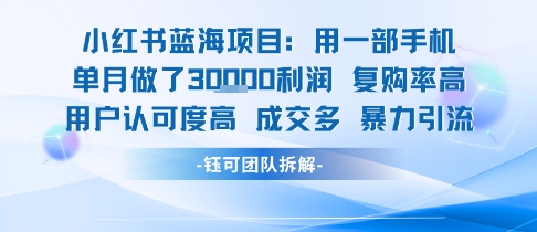 小红书蓝海项目，一部手机单月做了3W利润，小白也能月入过1W用户认可度高成交多-升阶有道