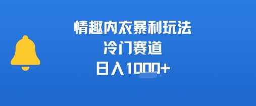 情趣内衣暴利玩法，冷门赛道，日入1k+-升阶有道