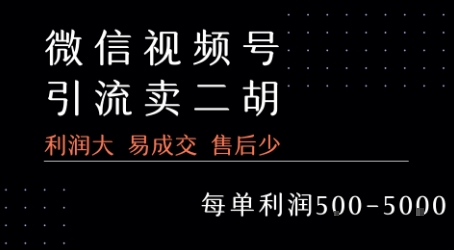 视频号卖二胡教程，利润大 易成交 售后少，一单利润5张+-升阶有道