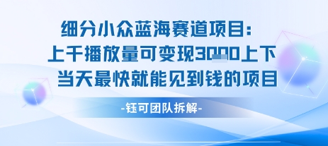 小众蓝海赛道项目：当天变现1k+适合新手操作 +适合长期玩-升阶有道