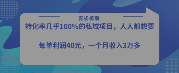 转化率最高的私域项目，每单利润40-50米，月入过1w-升阶有道