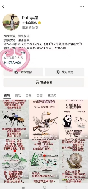 Puff手绘视频号分成项目，三天过分成计划，简单易上手，适合新手-升阶有道