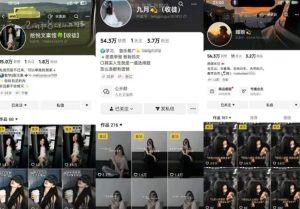 抖音图文文案赛道新玩法,快速养号起号,广告收益分成+橱窗带货+教学收徒等-升阶有道